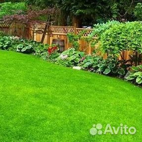 Газон от производителя