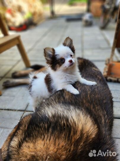 Самые красивые