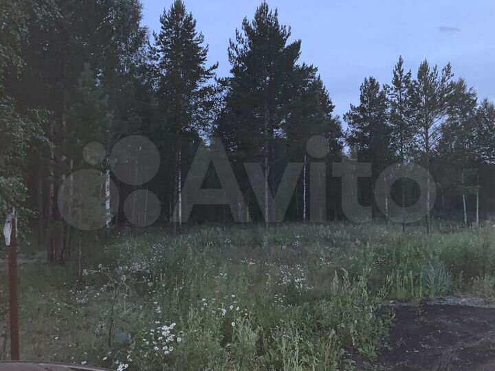 Участок 12,3 сот. (СНТ, ДНП)