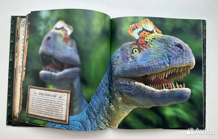 Книга Мир динозавров
