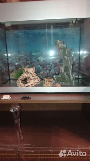 Аквариум