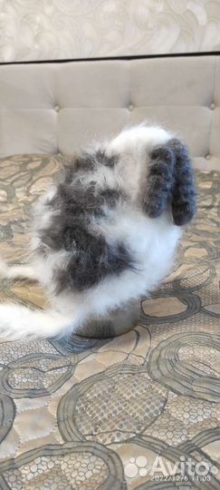 Шапка детская для девочки новая