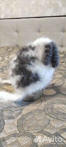 Шапка детская для девочки новая