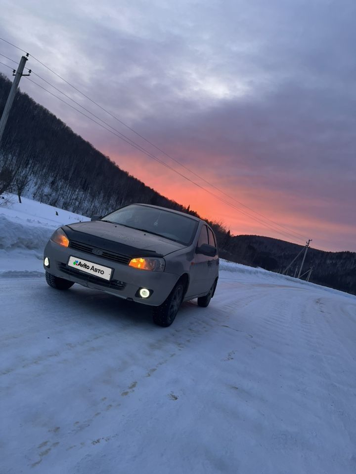 ВАЗ (LADA) Kalina: фото владельца