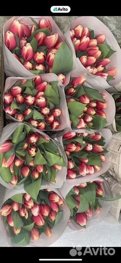 Тюльпаны с доставкой на дом