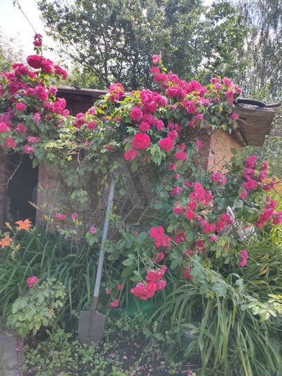 Дом 75 м² на участке 50 сот.