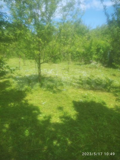 Участок 4,6 сот. (СНТ, ДНП)