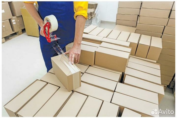 Сортировщик (ца)