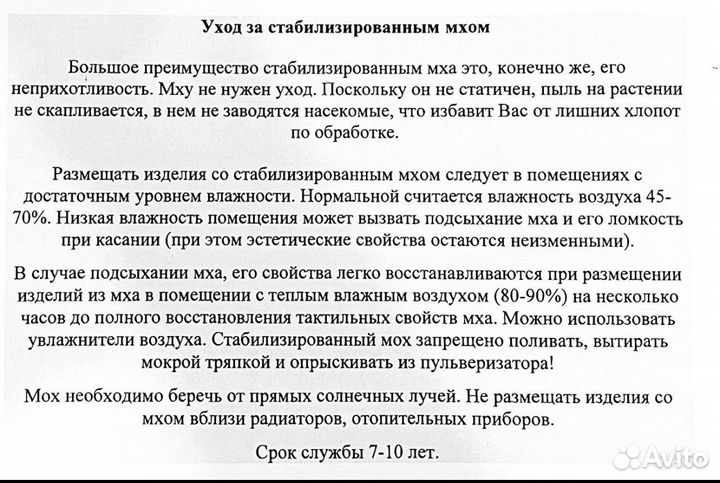 Кашпо со мхом Мечтательница