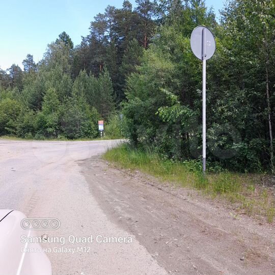 Участок 10,6 сот. (СНТ, ДНП)