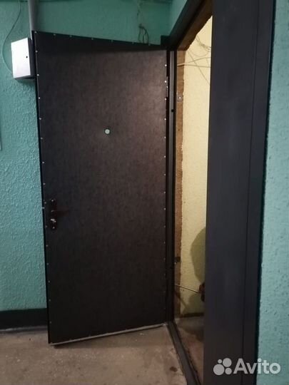 Дверь входная с зеркалом