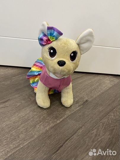 Собачка чичилав