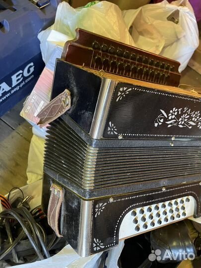 Гармонь тула