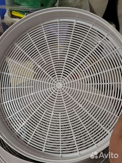 Сушилка Спектр-Прибор эсоф-0,5/220 Ветерок-3