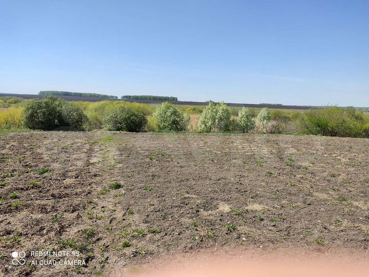 Участок 12 сот. (ИЖС)