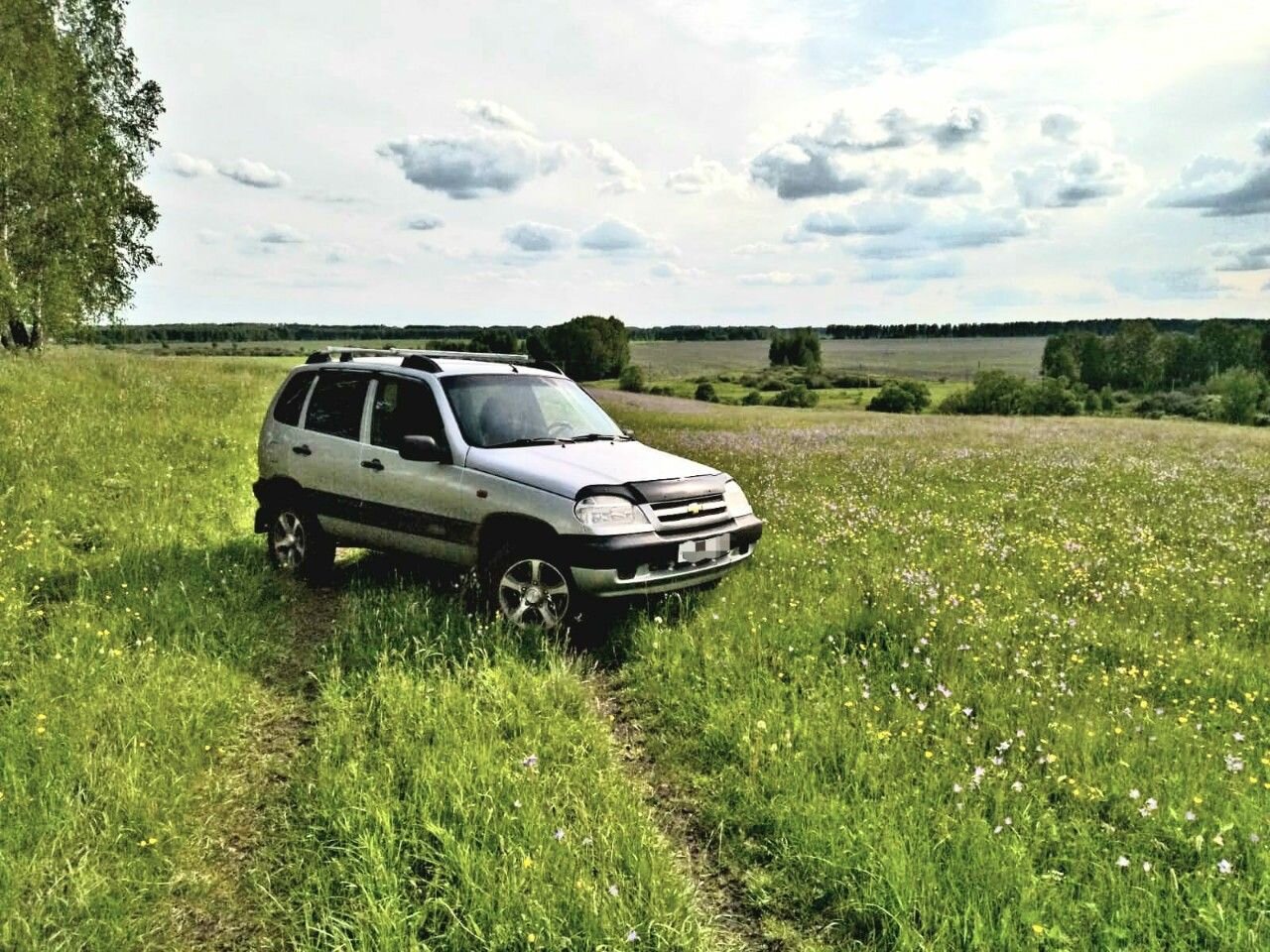 Chevrolet Niva: фото владельца