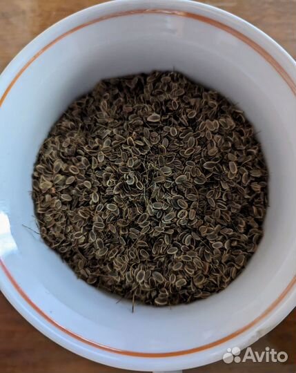 Семена укропа