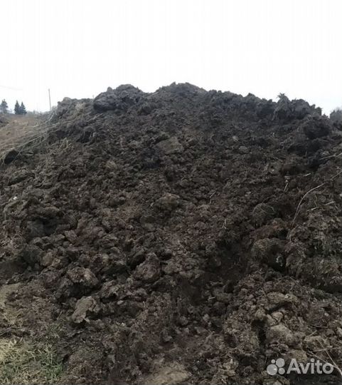 Навоз и перегной с доставкой хорошее удобрение