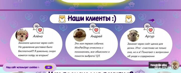 Создание сайта / лендинг на Tilda