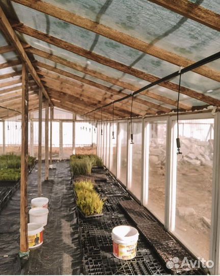 Ваш сантехник