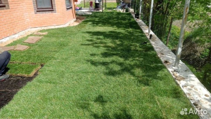 Рулонный газон с доставкой. Любой объем