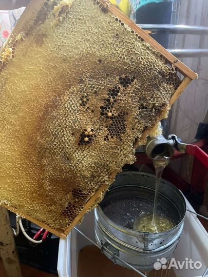 Мед натуральный