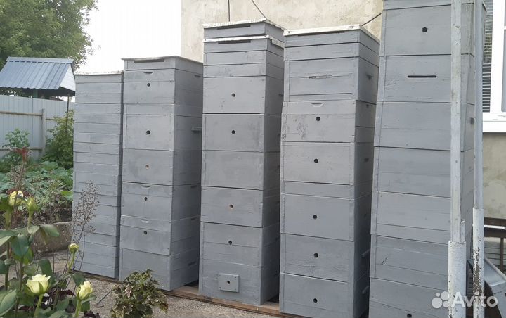 Ульи рута, лежаки