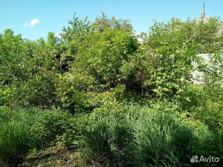 Дрова бесплатно самовывоз