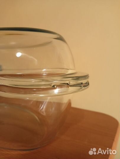 Утятница гусятница