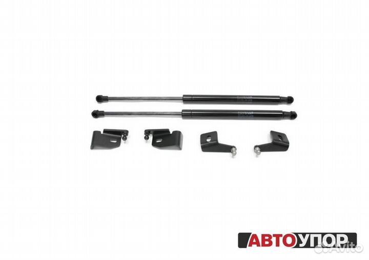 Газовые Упоры Капота Lifan X60 (2011)