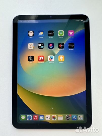 iPad mini 6
