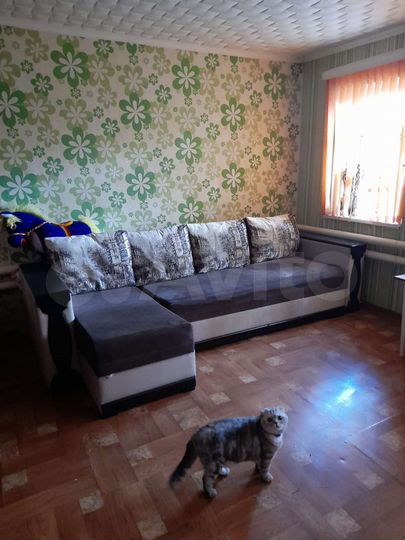 Дом 57 м² на участке 4 сот.