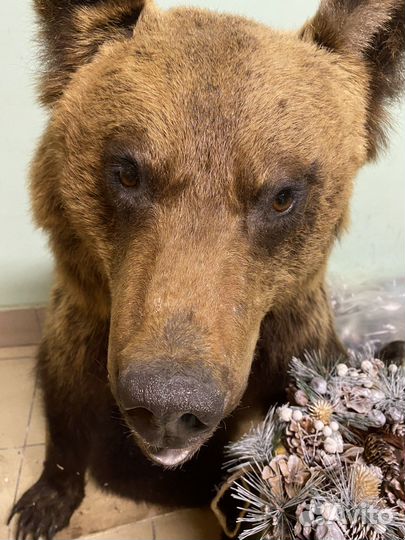 Чучело медведя имитация