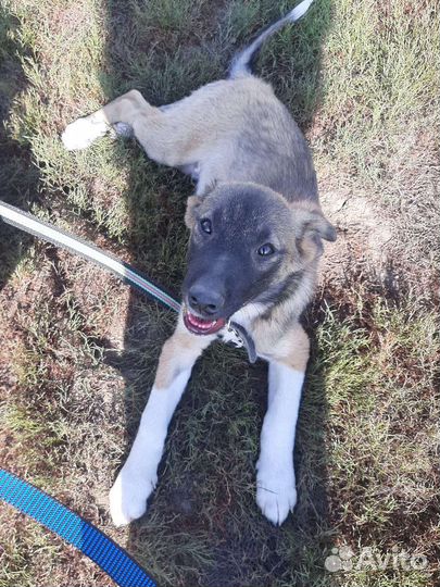 Мальчишки в добрые руки,5 мес