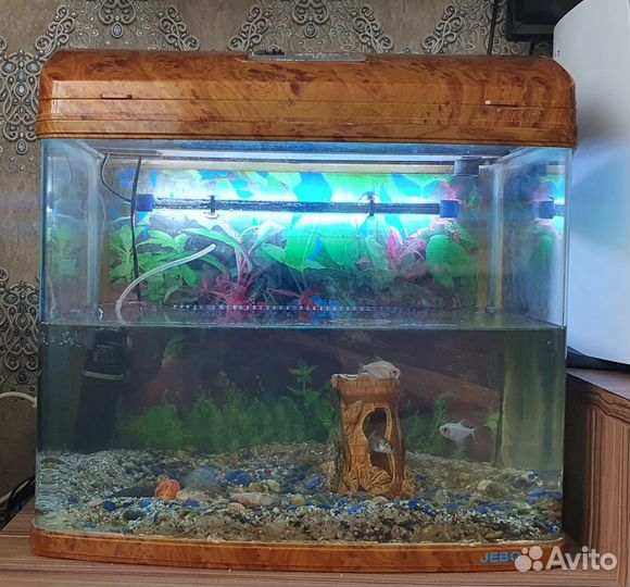 Аквариум jebo 352