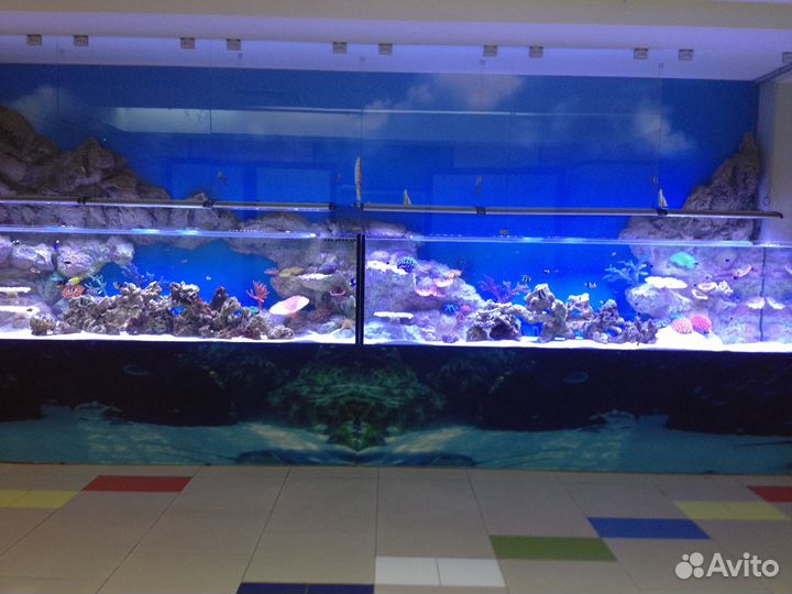Аквариум на заказ в Улан-Удэ по вашим размерам