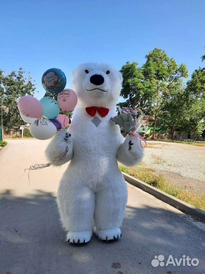 Белый Мишка