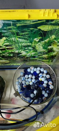 Аквариум