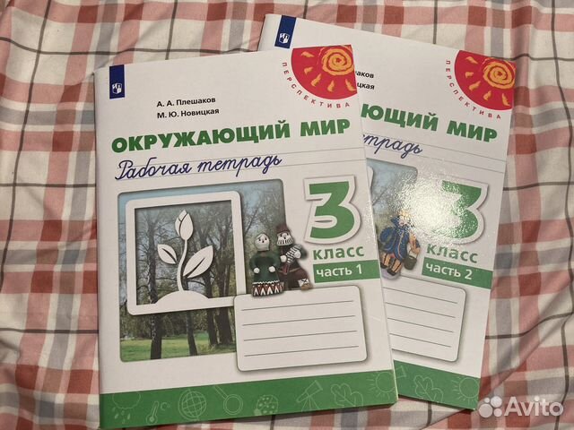 Рабочая тетрадь окружающий мир 3 класс