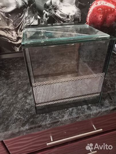 Террариум для рептилий