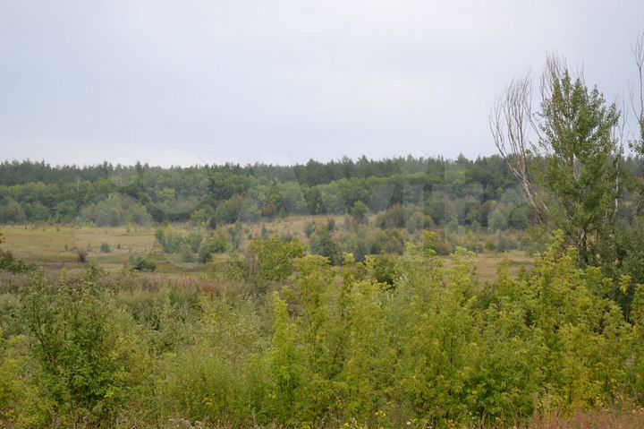 Участок 88,2 га (СНТ, ДНП)