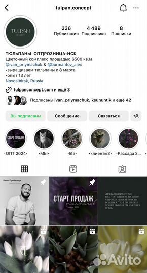 Премиум- тюльпаны оптом к 8 марта