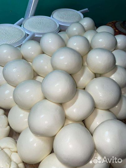 Дондуковский домашний сыр