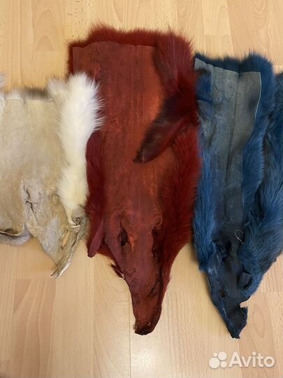 Писец шкурка