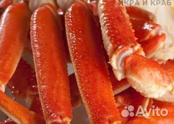 Конечности стригуна опилио в/м