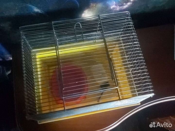 Клетка для грызунов бу