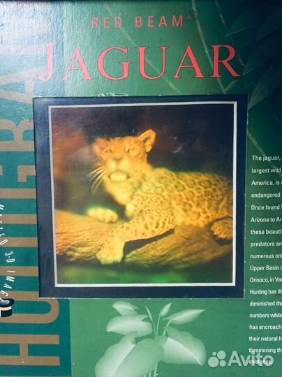 Стерео открытки голографические США Камасутра