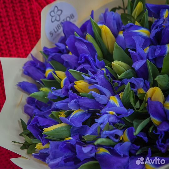 Букет 19 желтых тюльпанов 20 ирисов, цветы доставк