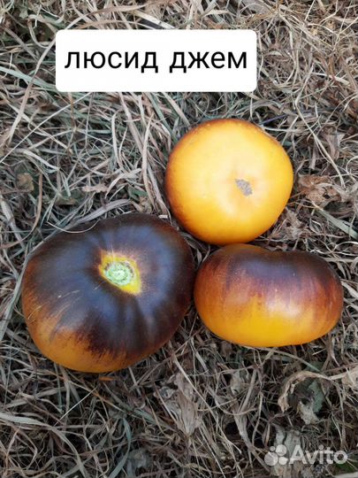 Семена сортовых томатов с антоцианом