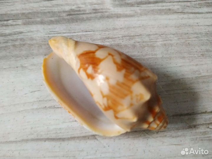 Статуэтки Сувениры